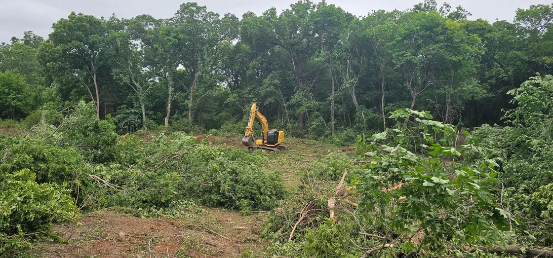 Timber clearing and tree removal for a development site in Oklahoma City, OK